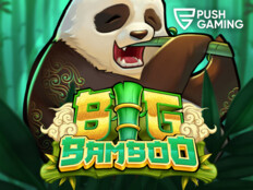 Royal panda casino bonus code8